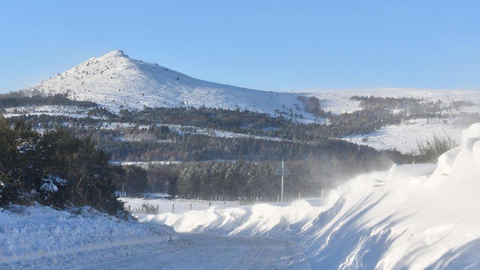 A snowy landscape with hills, trees and a clear blue sky