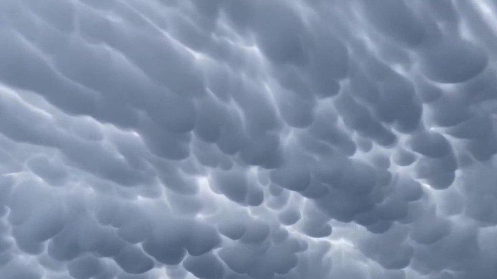 Mammatus clouds