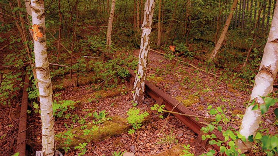 Derelict rail line