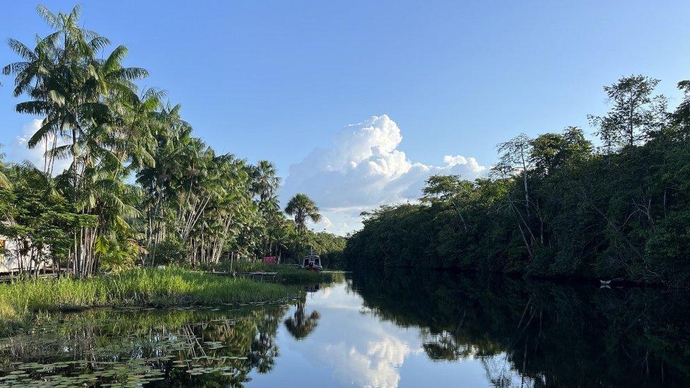 A view down part of the Amazon river with trees on either side