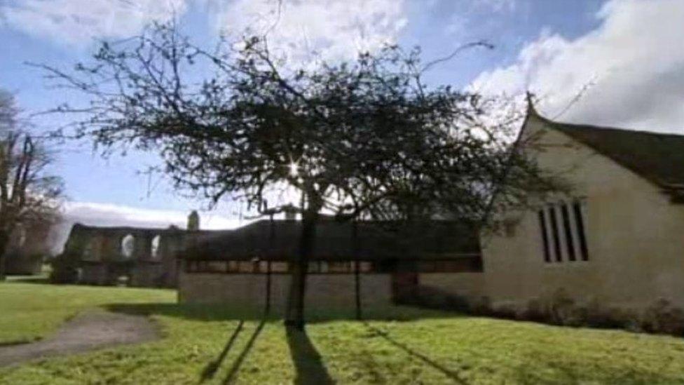 Holy Thorn tree at Glastonbury Abbey