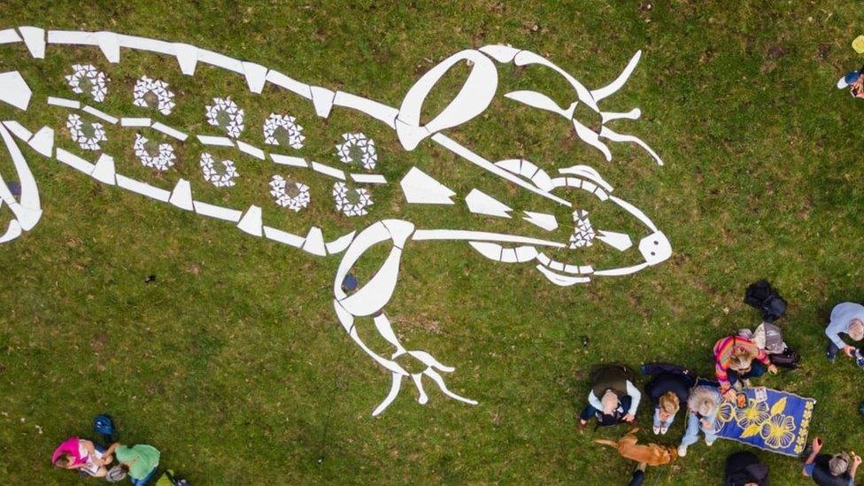 View of sand lizard installation from the air