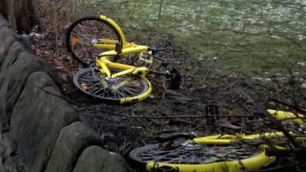 Ofo bike in Sheffield vandalised