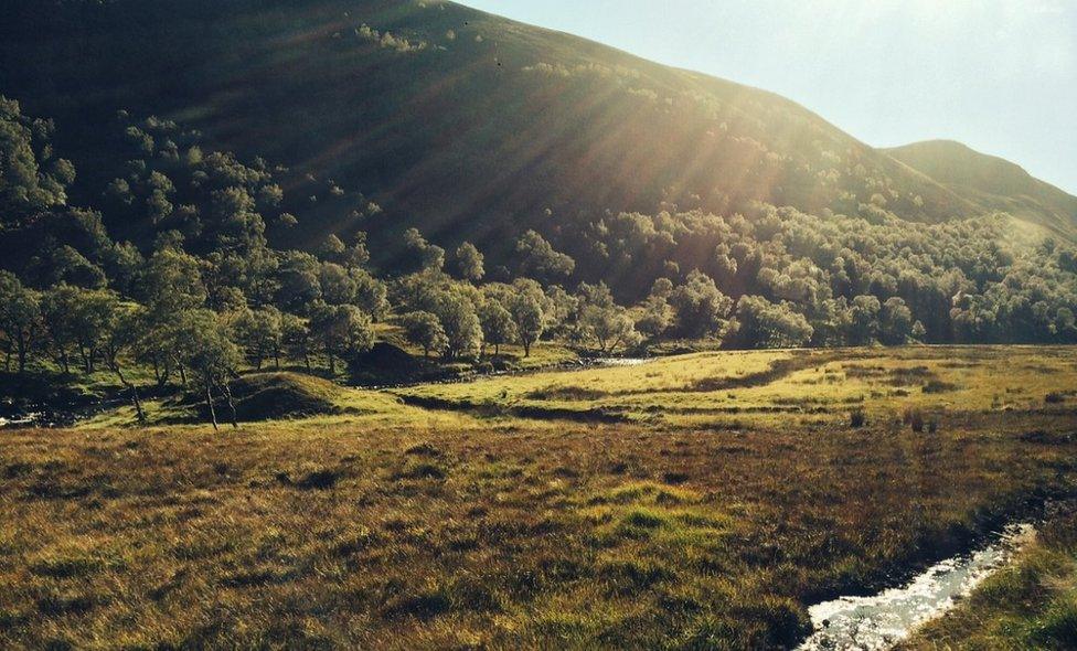 Alladale Wilderness Reserve