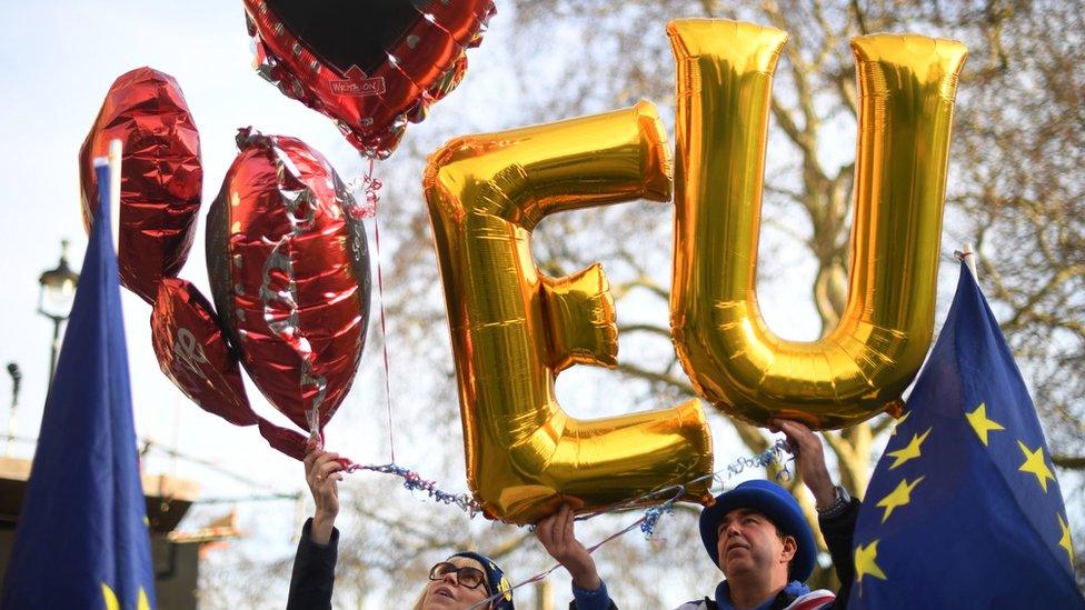 Brexit protesters