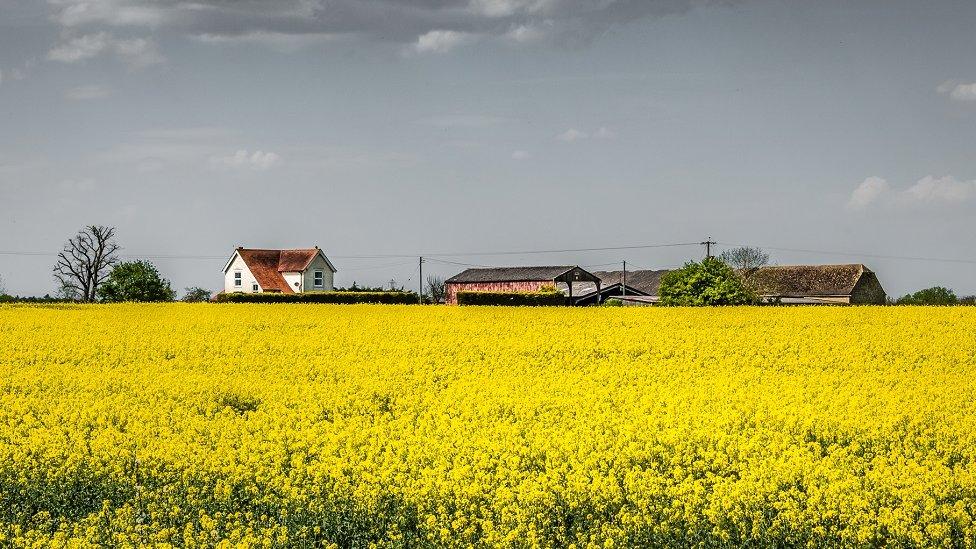 Bury’s Farm near Stanton Harcourt, Oxfordshire