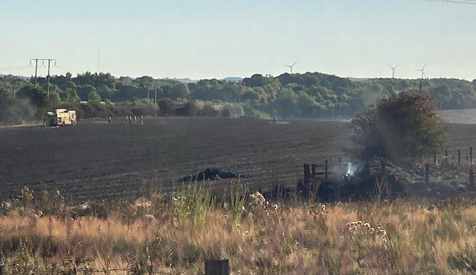 Charred grass in Pelton