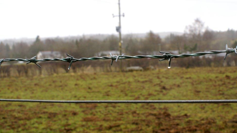 Frongoch camp today - empty fields