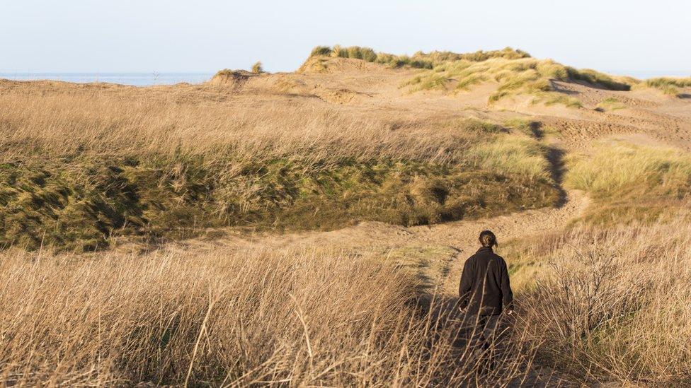 A ranger walking through the dunes at Formby