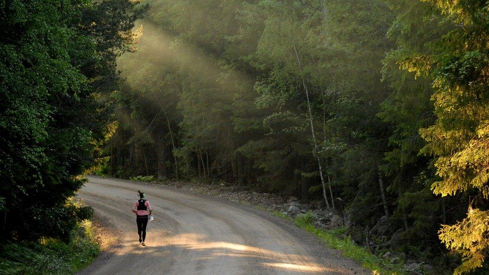 An orienteering competitor (file photo)