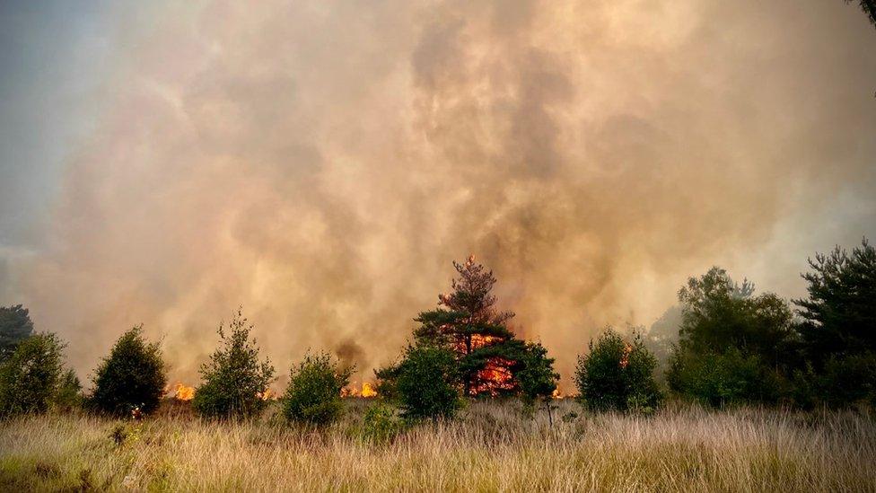 Yateley Common, Blackwater