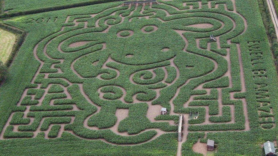 Shaun-the-Sheep-maze.