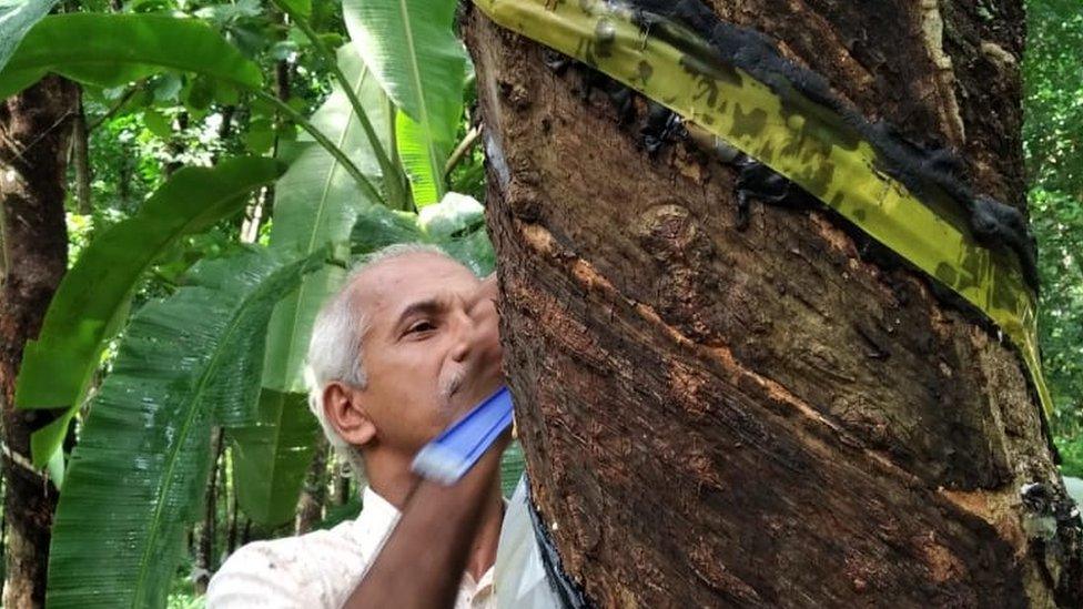 Babu Joseph on his plantation