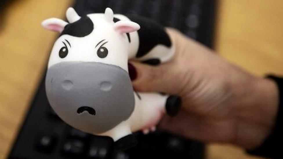 Moody Cow stress ball