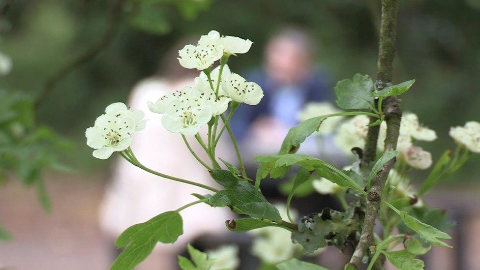 A woman sitting behind flowers