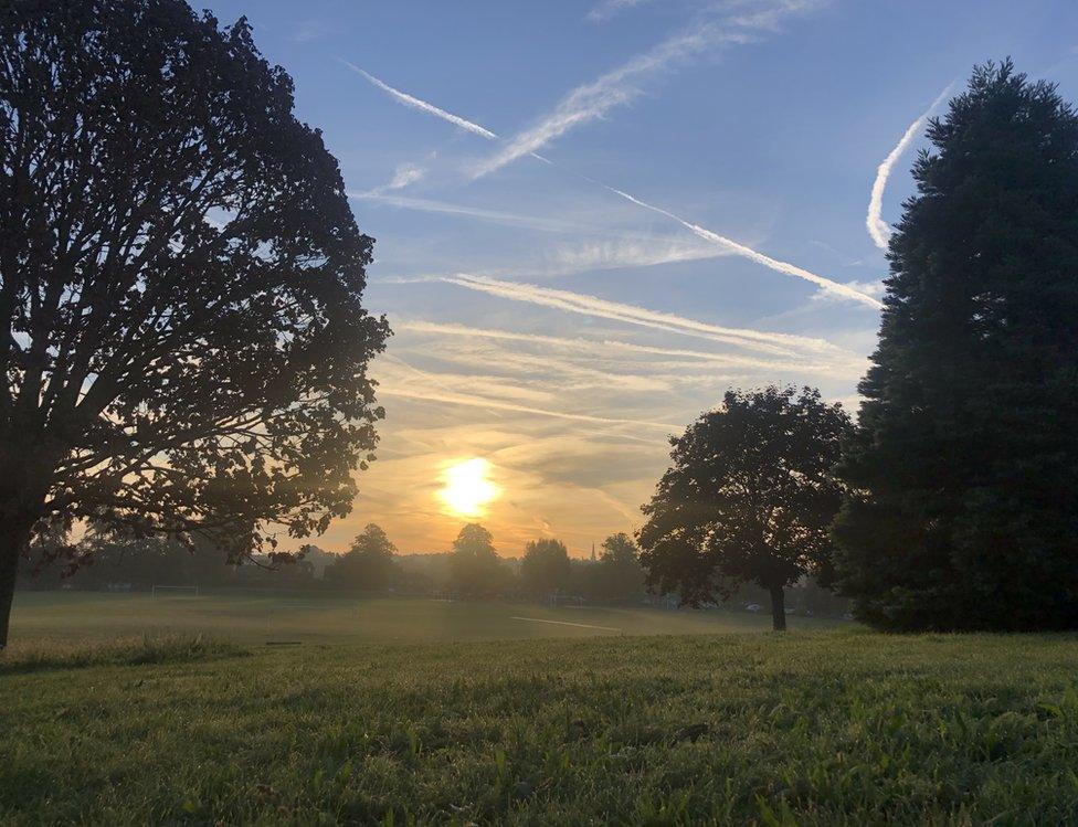 Sunset between trees in a park