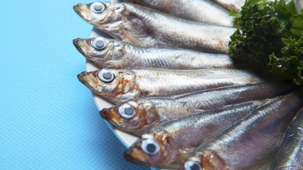 Sardines with plastic googly eyes