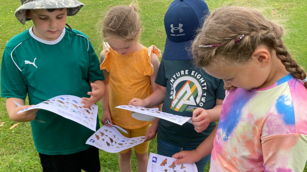 Children looking at butterfly sheet