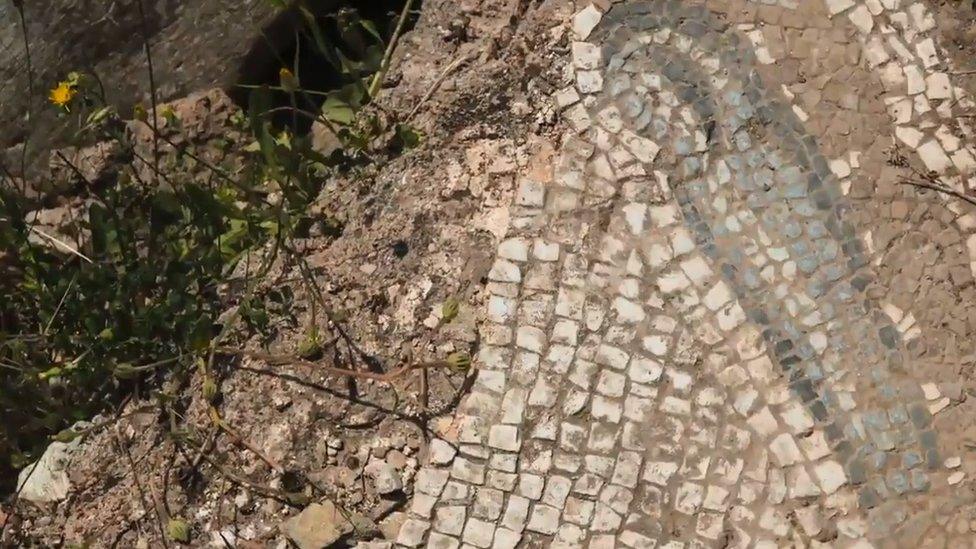 Mosaic fragment at Bargylia