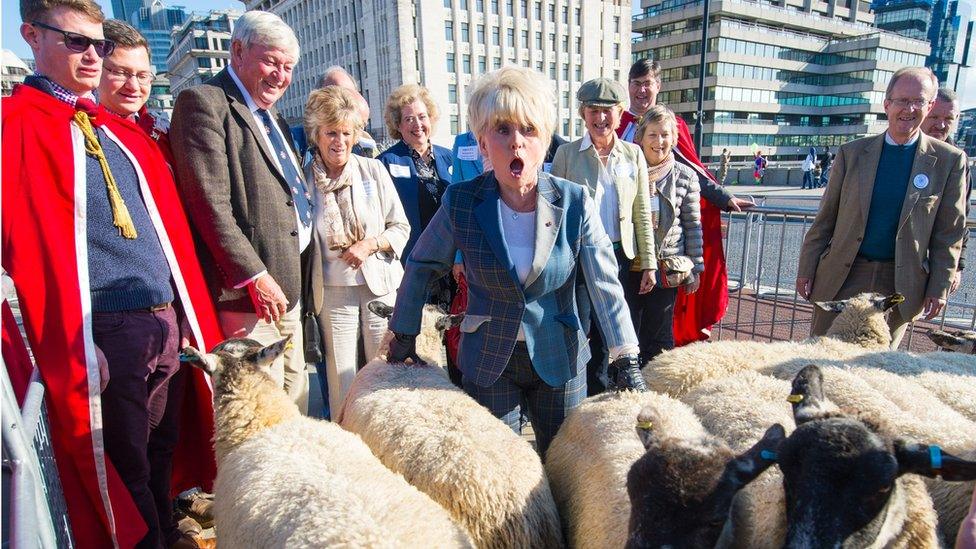 Barbara Windsor herds sheep across London Bridge