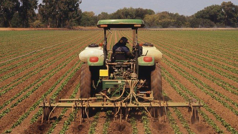 Farmer in field