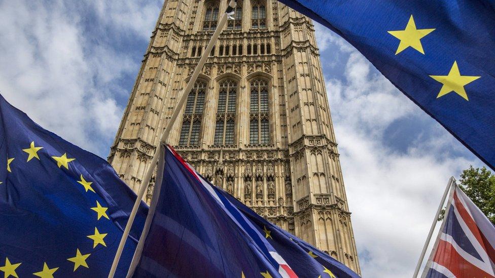 EU flags at Westminster