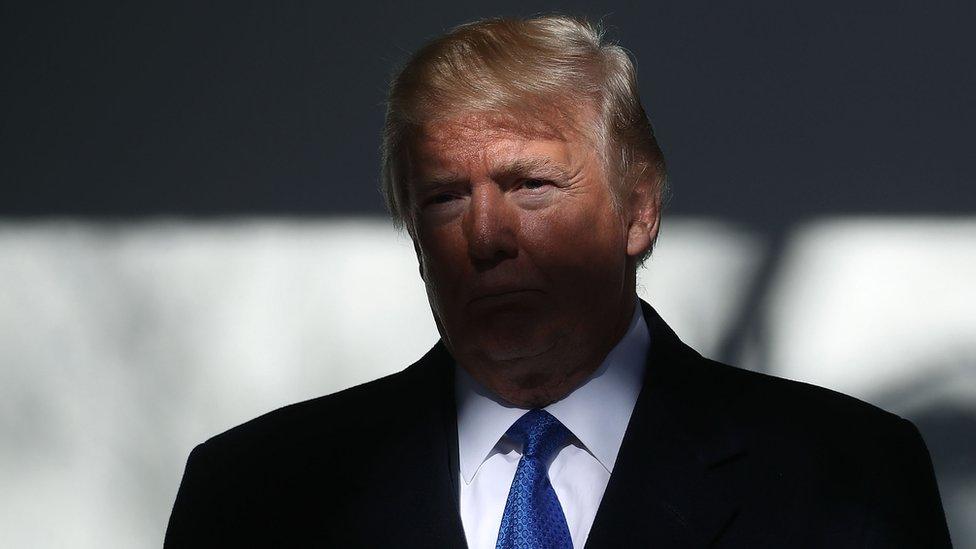 Donald Trump stands in the shadows outside the White House.