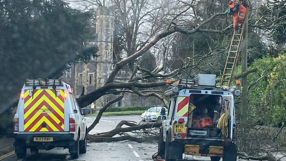 A tree has come down blocking the road between Clifton Suspension Bridge and Ashton Court in Bristol