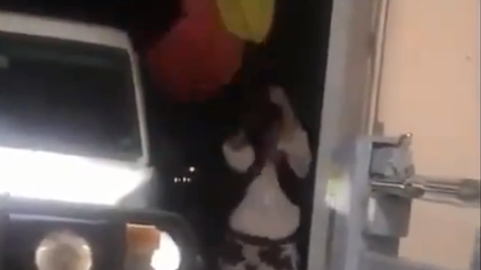 A screenshot of a video showing a woman identified as Karen trying to pull down the Aboriginal flag