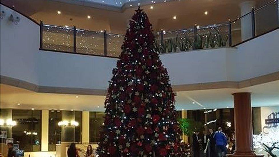 Tree at Celtic Manor