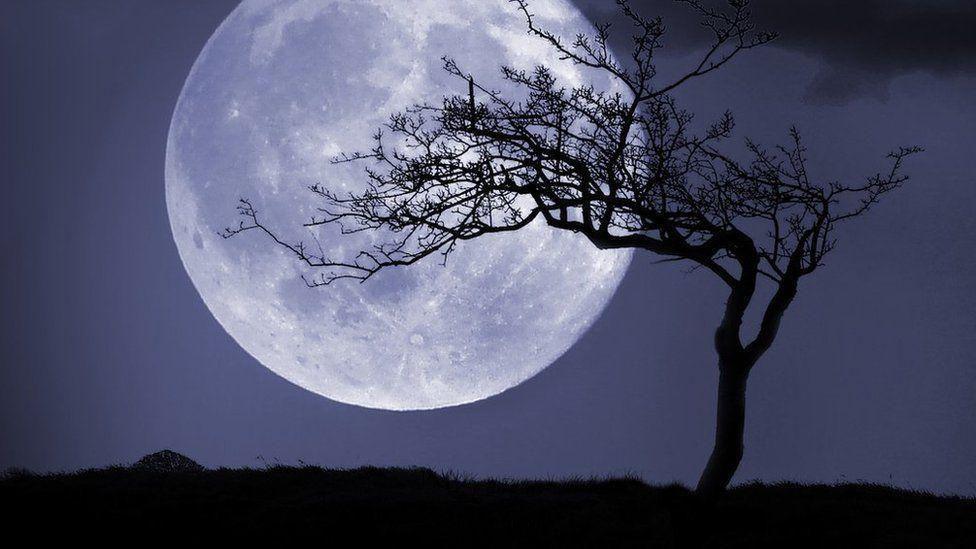 The Moon with a tree in the night.