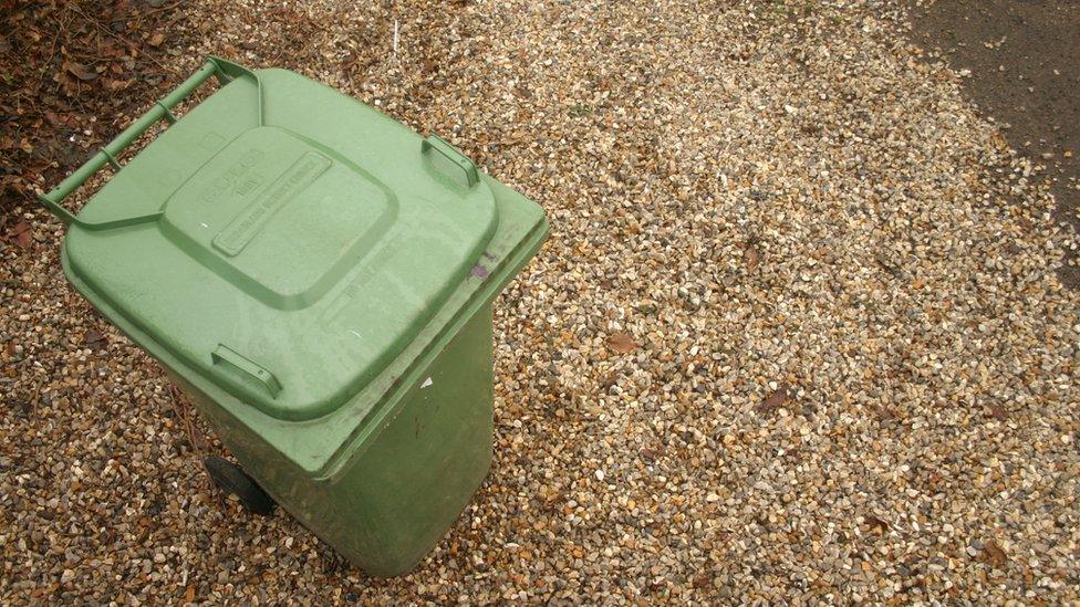 Green wheeled bin