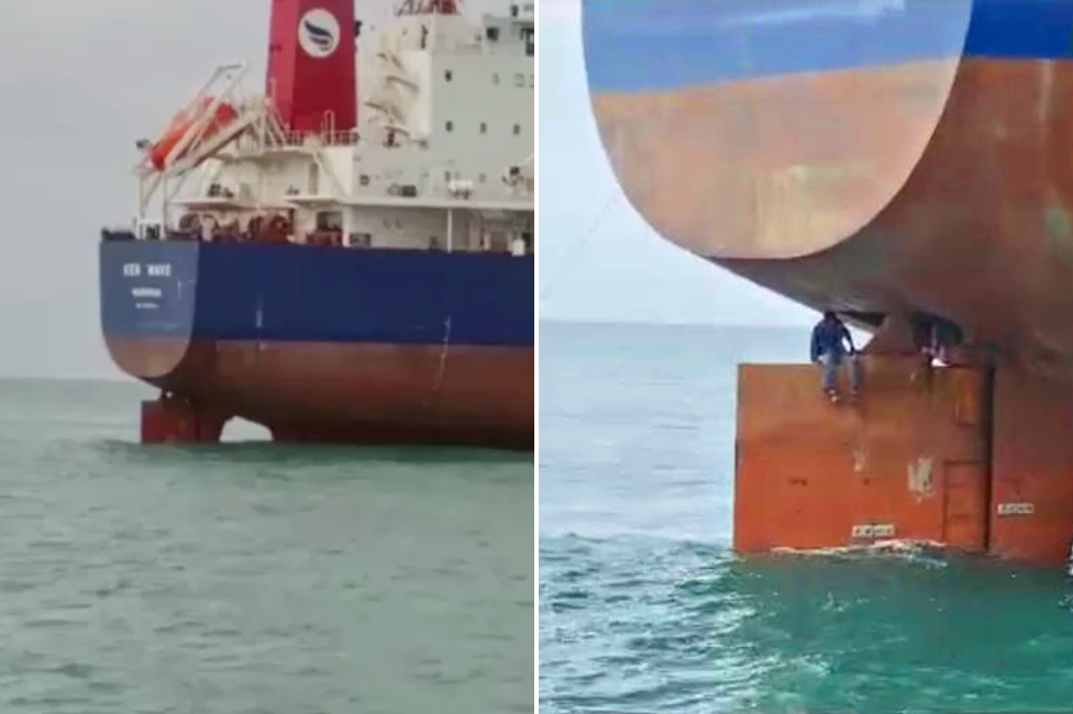 Roman Friday sitting atop the rudder that carried him across the Atlantic