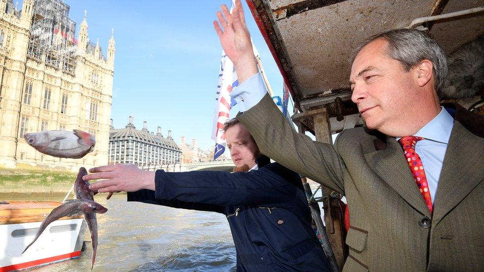 Nigel Farage throwing fish into the Thames