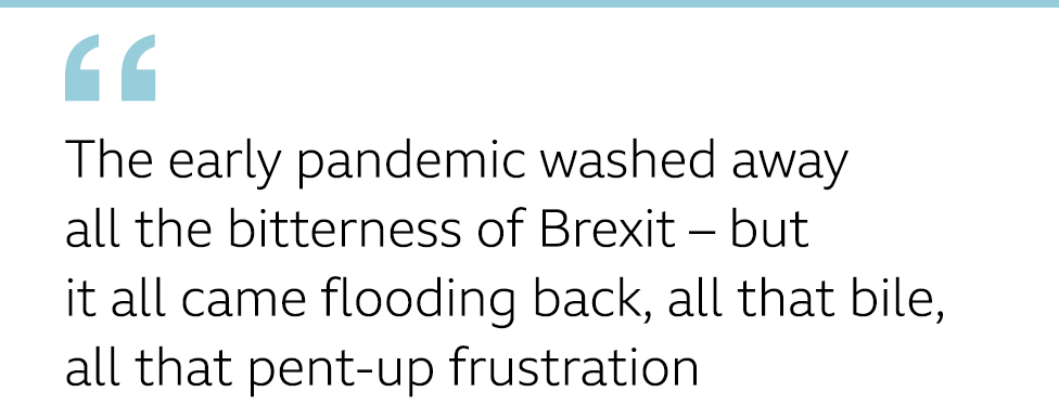 QUOTE: The early pandemic washed away all the bitterness of Brexit - but it all came flooding back, all that bile, all that pent up frustration