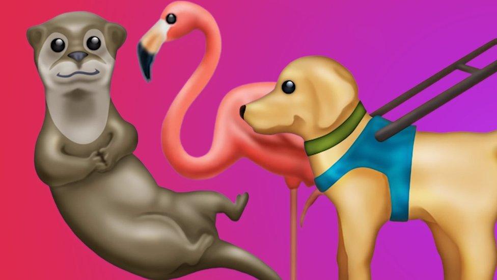 Otter, flamingo and guide dog