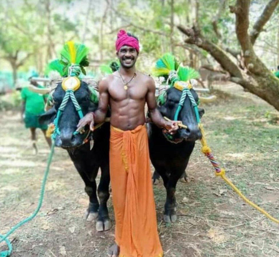 Srinivas Gowda with his two buffalo