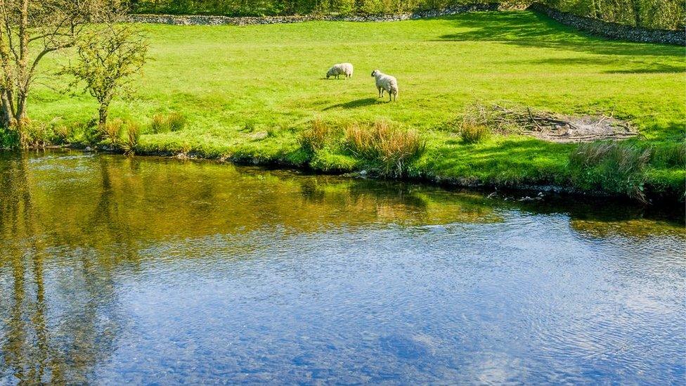 River Kent near Staveley