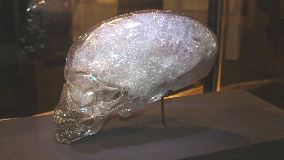 skull