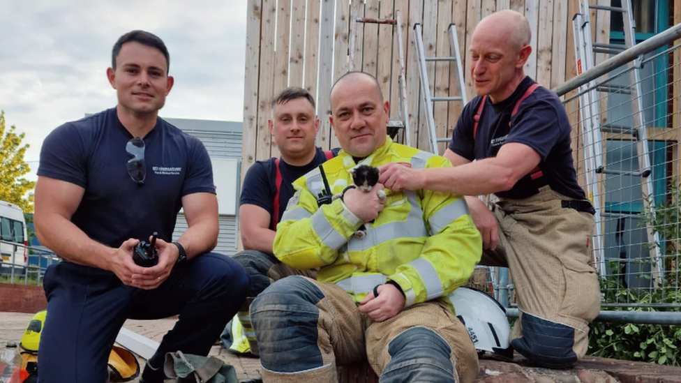 Fire crew with kitten