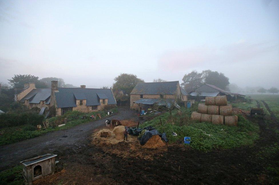 A view of Jean-Bernard's farm including several buildings and farm animals