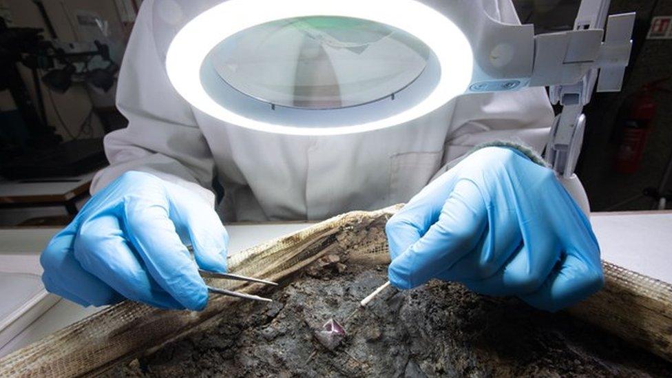 Gloved hands hold tweezers which are grabbing an item in a basket of soil