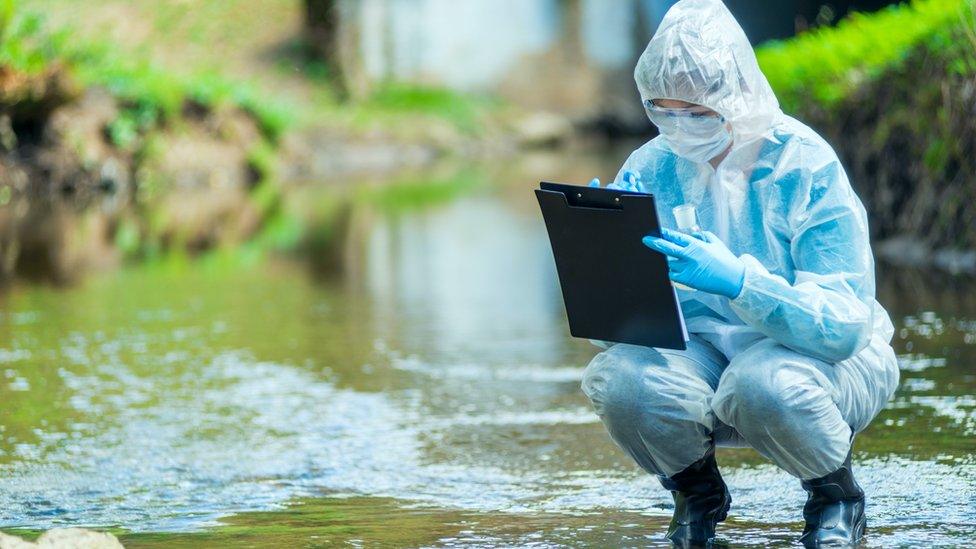 Scientist taking measurements in water