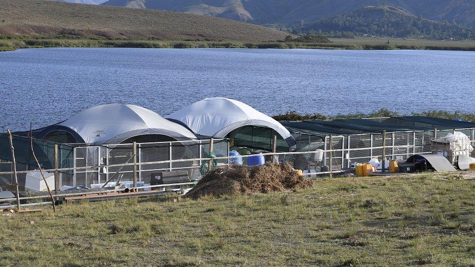 Lakeside enclosures at Lake Sofia