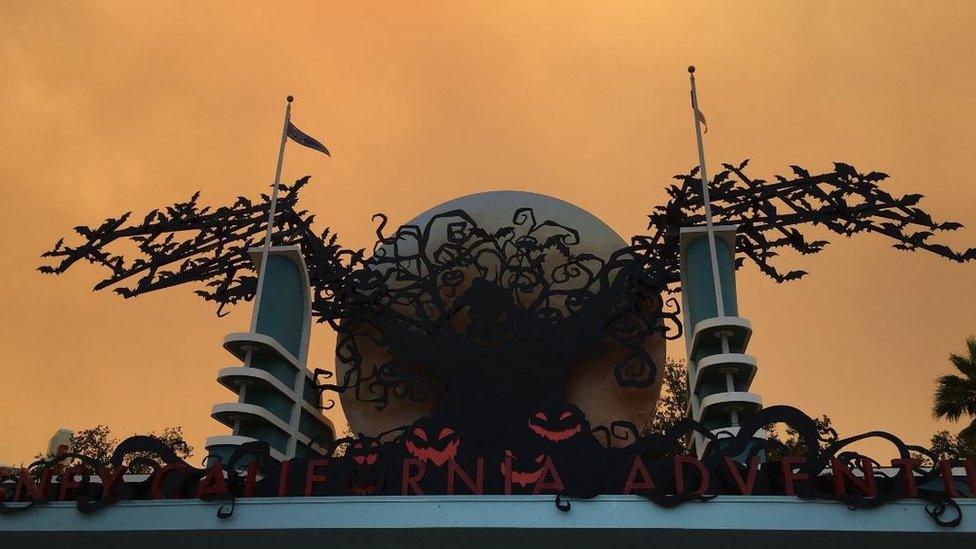 California Disney sign in orange glow