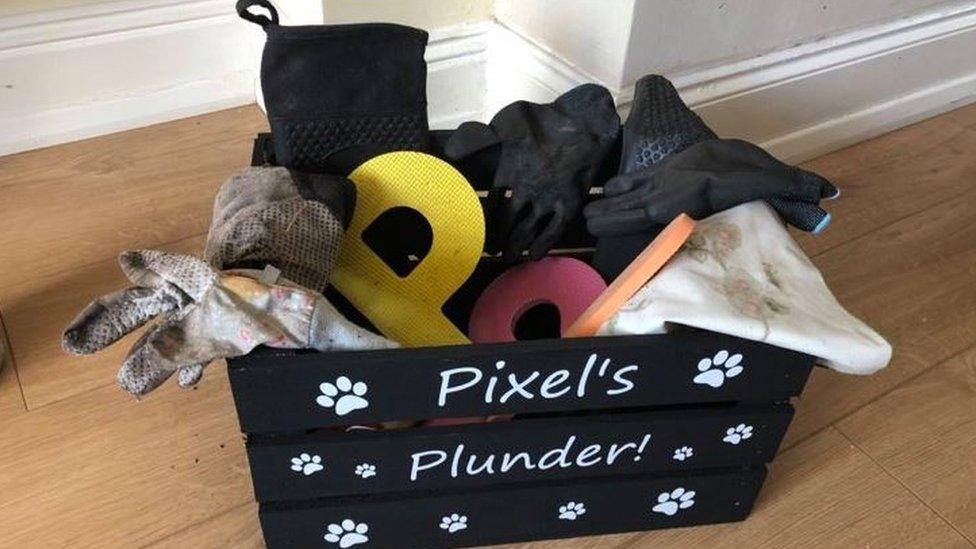 Pixel's "plunder" box