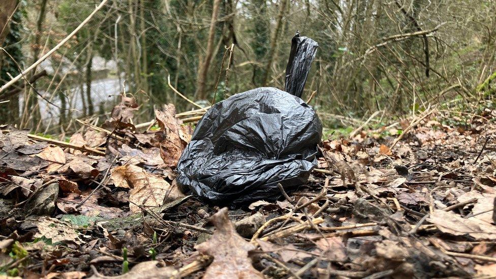 An abandoned poo bag