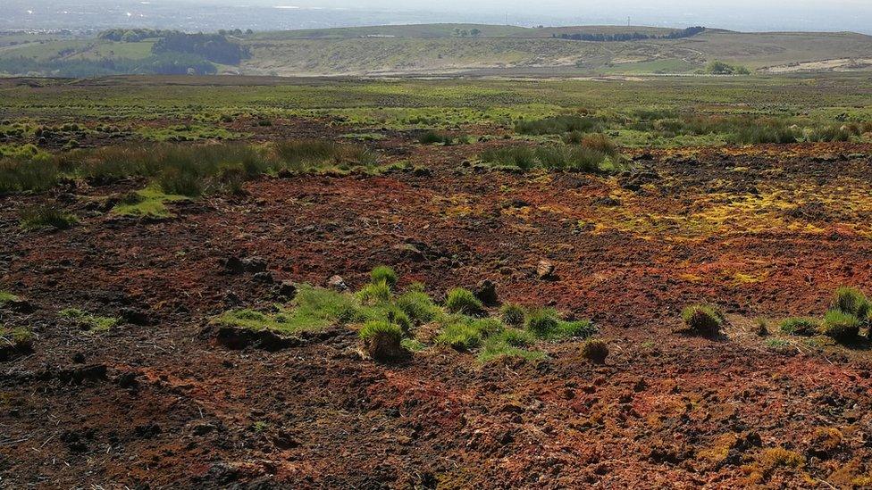 Damaged moorland view