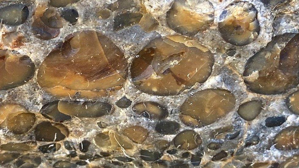 Hertfordshire Puddingstone