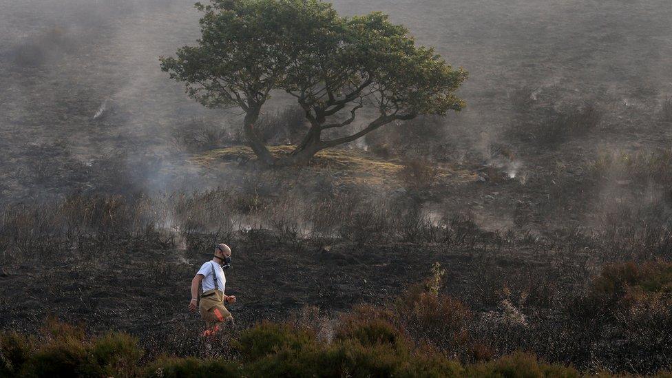 Saddleworth Moor fire